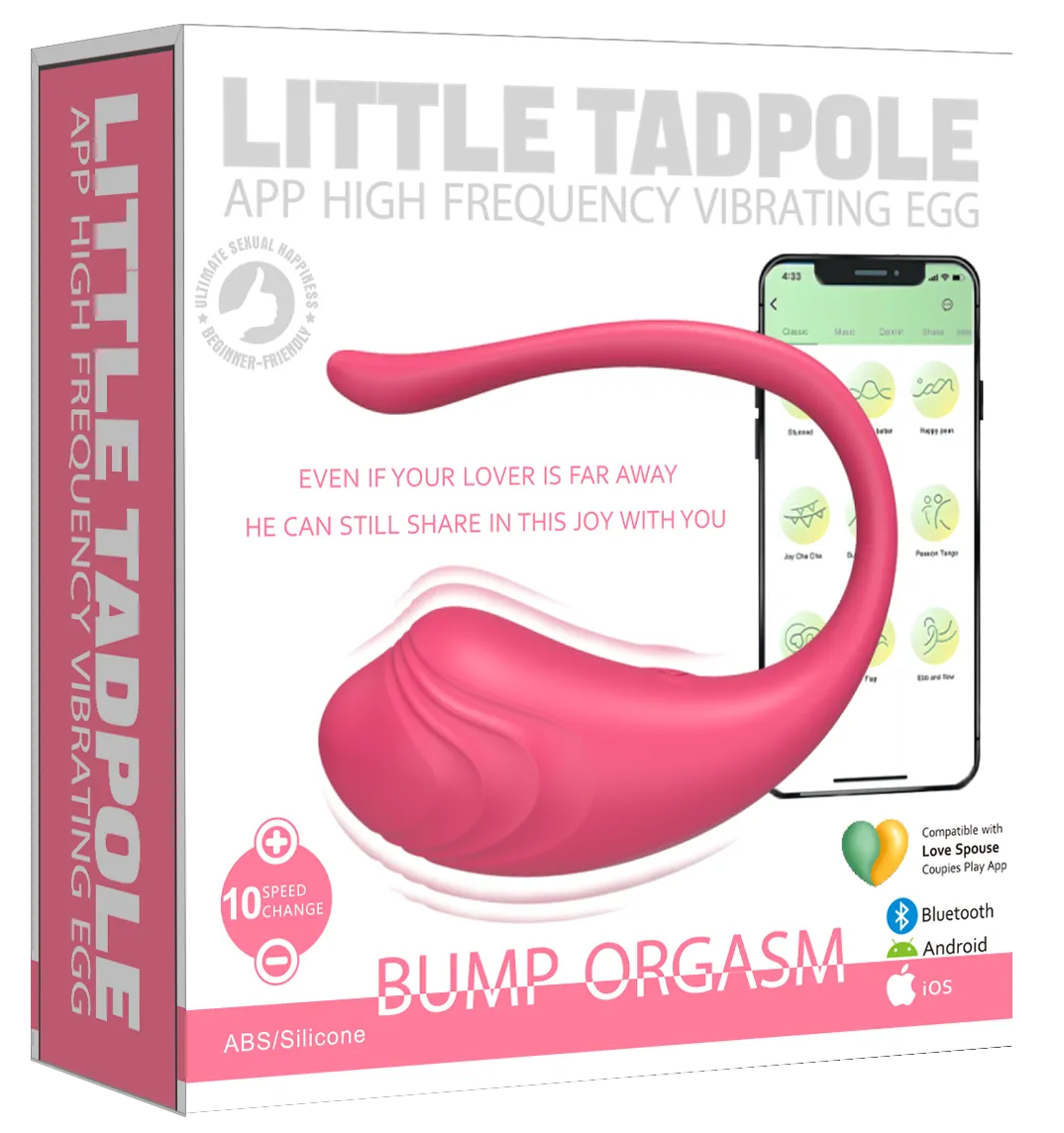 Remote Controlled Vibrating Love Egg. 10 Speed Wireless Egg Vibrator